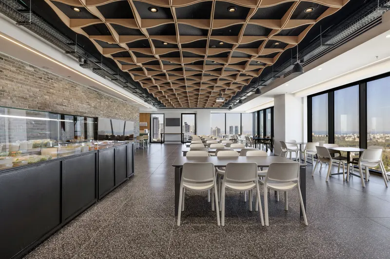 Diagonal acoustic panel in a styled interior
